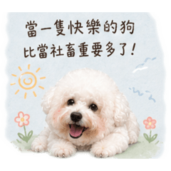 可愛娜芙
