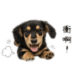 黑豆的可愛日常貼圖