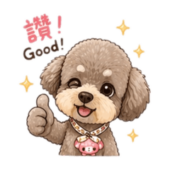 巧克力Dog 2.0