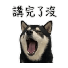 mmmmmuuuujjjjiiii