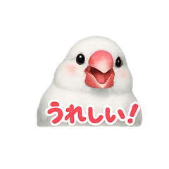 poi_20260509175039