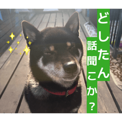 AN_20260509175231