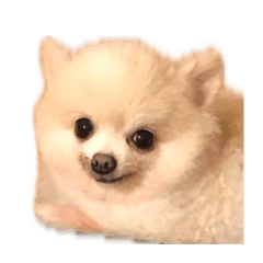 213_20260509174628