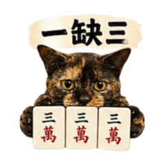 皮皮打牌啦