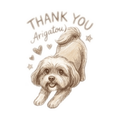 Cavapoo_Bubble2