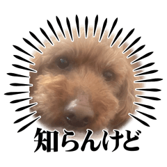 MatataBi_20260509185209