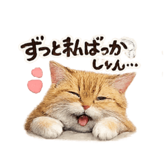 A cynical cats
