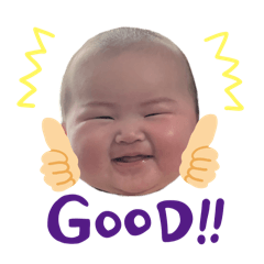 renp_20260509185926