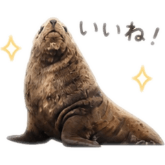 todosupanpu