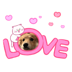 Sumairupuyu_20260509184836