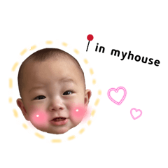 y_.pon_20260509185417