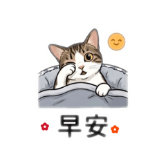 貓早ㄢ
