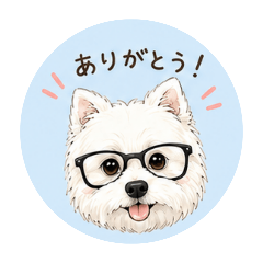 rinnosutanp