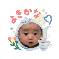 taiga_20260509205311