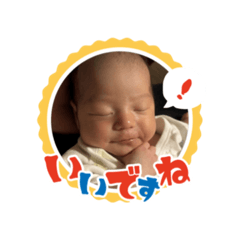 tanitani_20260428175330
