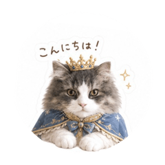 yumiyumi@0728_20260509205452