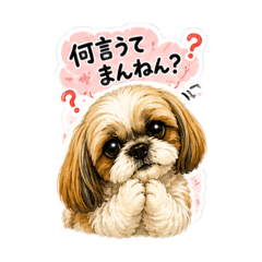Yupppi_20260509205711
