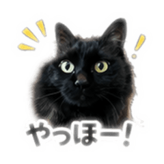 YUKI_20260509205405