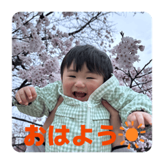 kyamii_20260509195848