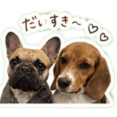 Loy/cody_20260509200720