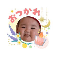 tatsu_20260509200844