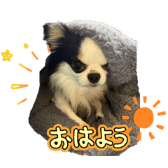 ACE_20260509201438