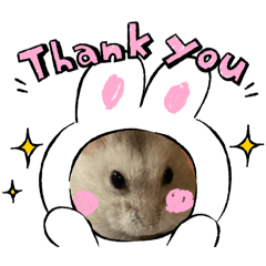 omochi_20260509201820
