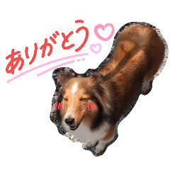 chun_20260509201143