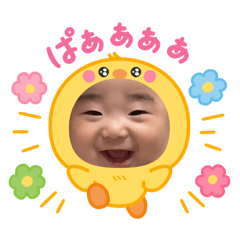 soa-na_20260509202322