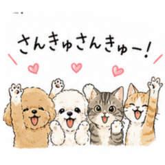 yuppie_20260509202331