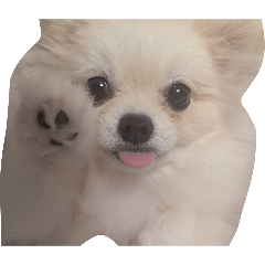 YOSHIRO_20260509204200