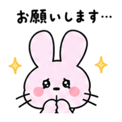 pon_20260509202521