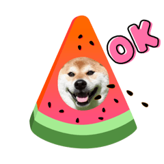 y_20260509210944