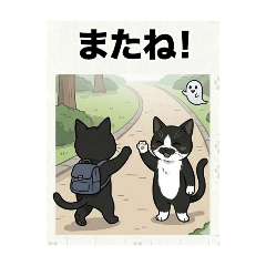 CocoTomo_20260428203758
