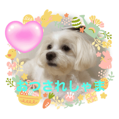 HIROKO_20260509210450