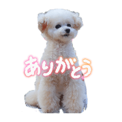 aj_20260509210002