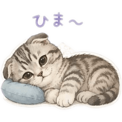 TORA_20260509210850