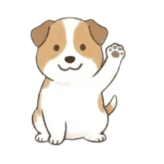 hikari_20260509211445