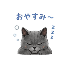 Orin_20260428204125