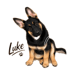 Luke_20260509212655