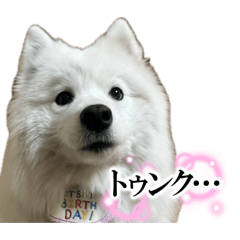 wooyoo_20260428203838