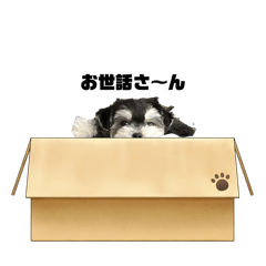 jiji_20260509212131