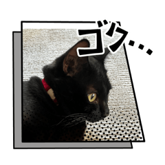 tora_20260509213111