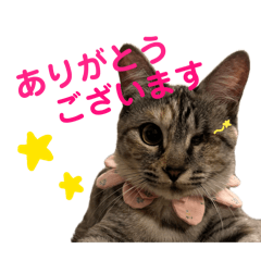 kaho_20260509213014