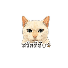 Tungtong_20260428161703