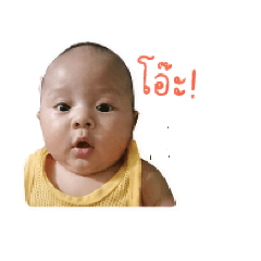 Tintin_20260428162517