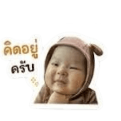 pang_20260428162442