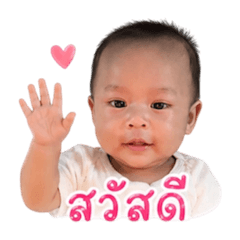Zeno2025_20260428162425