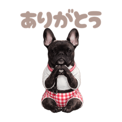 DOG STAMP ORDER_20260512203952