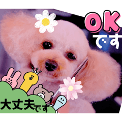 Mochioba_20260512232406